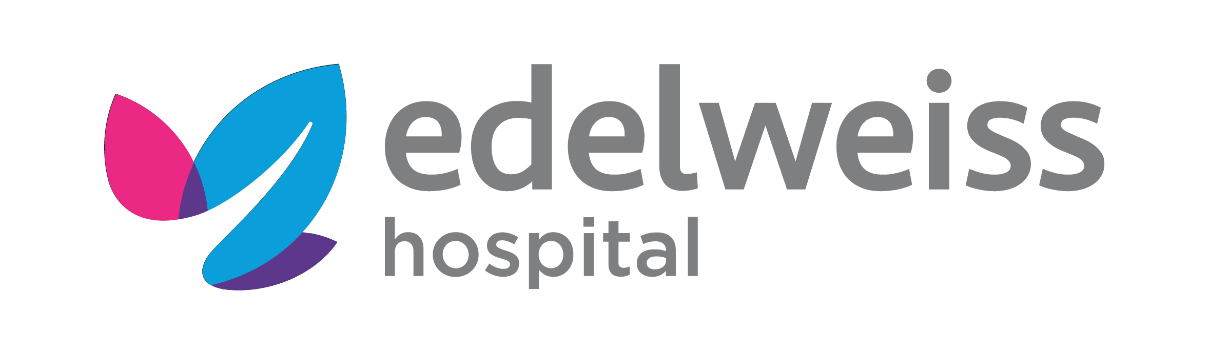 Logo Edelweiss