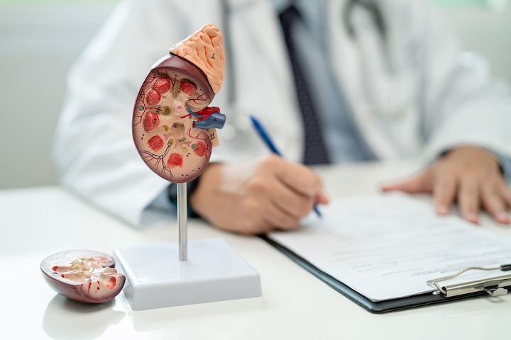 Urology