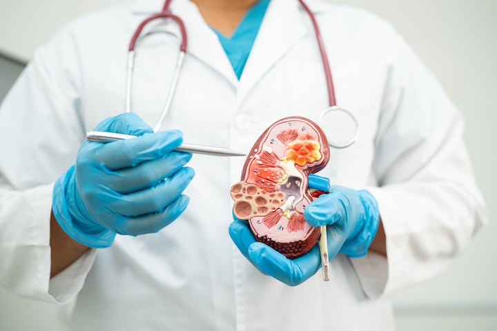 Urology